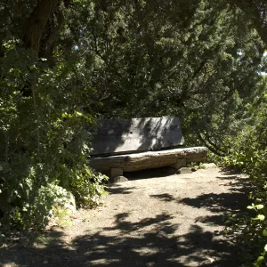 wood bench in Meadow, SBBG, 2 years after the Jesusita Fire