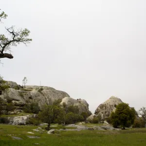 Wagon Caves rock shelter, Fort Hunter Liggett, SBBG Research and Conservation staff field trip, 2006