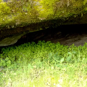 Wagon Caves rock shelter, Fort Hunter Liggett, SBBG Research and Conservation staff field trip, 2006