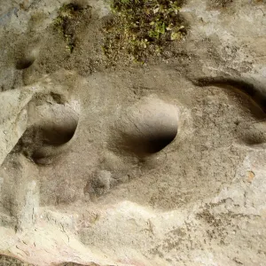 Wagon Caves rock shelter, Fort Hunter Liggett, SBBG Research and Conservation staff field trip, 2006