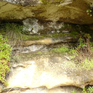 seep, Wagon Caves rock shelter, Fort Hunter Liggett, SBBG Research and Conservation staff field trip, 2006