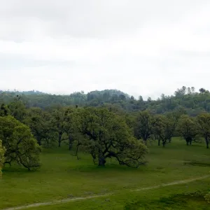view from top of Wagon Caves rock shelter, Fort Hunter Liggett, SBBG Research and Conservation staff field trip, 2006
