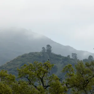 view from top of Wagon Caves rock shelter, Fort Hunter Liggett, SBBG Research and Conservation staff field trip, 2006