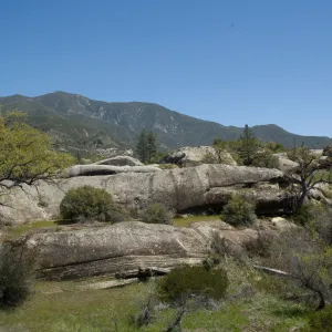 Santa Lucia Mountains, Fort Hunter Liggett, SBBG Research and Conservation staff field trip, 2006