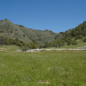 Santa Lucia Trail, Santa Lucia Mountains, SBBG Research and Conservation staff field trip, Fort Hunter Liggett, 2006