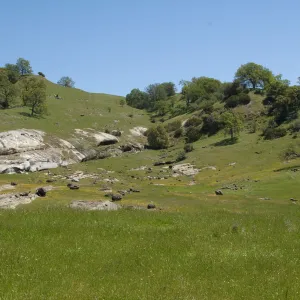 Santa Lucia Trail, Santa Lucia Mountains, SBBG Research and Conservation staff field trip, Fort Hunter Liggett, 2006