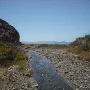 Christy Beach trail, stream, SBBG Field Trip to Santa Cruz Island, 2011