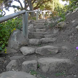 Campbell Trail steps