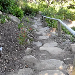Campbell Trail steps
