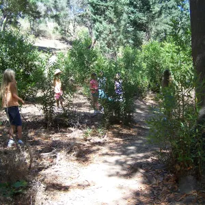 SBBG Community Free Day, children exploring Mission Creek