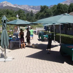 SBBG Community Free Day, Information tables in the Courtyard, dog on leash