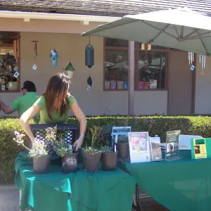 SBBG Community Free Day, Leana Orsua setting up the SBBG Membership table