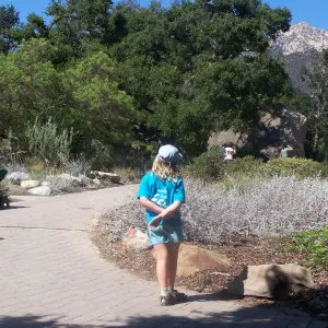 SBBG Community Free Day, child looking at the lower Meadow