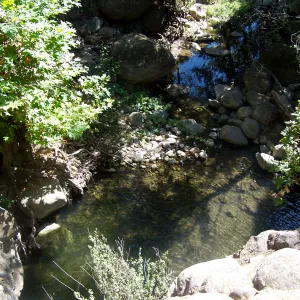 Mission Creek pool below the Mission dam, SBBG Community Free Day
