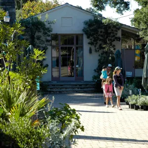family, Fall Plant Sale in the Courtyard, SBBG Community Free Day, October 16 2011