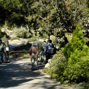 visitors at the Garden Entrance, SBBG Community Free Day, October 16 2011