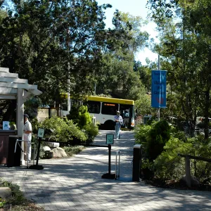 Santa Barbara MTD bus 22 at the Garden Entrance, Community Free Day, October 2011