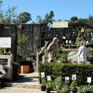 visitors at the Garden Growers Nursery, Fall Plant Sale, SBBG Community Free Day, October 16 2011