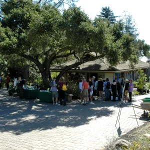 visitors at Garden Entrance, SBBG Community Free Day, October 16 2011