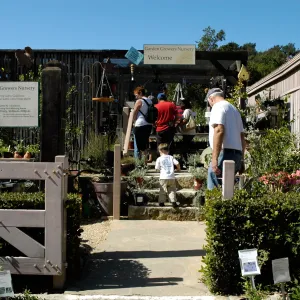 Garden Growers Nursery, Fall Plant Sale, SBBG Community Free Day, October 16 2011