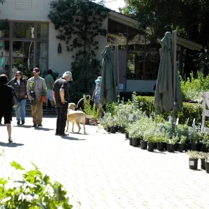 Garden Growers Nursery, Fall Plant Sale, SBBG Community Free Day, October 16 2011