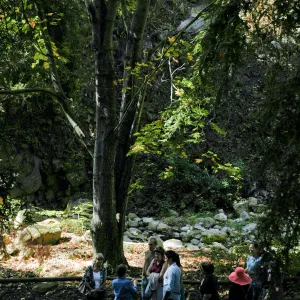 Docent tour in the Redwood Section, Community Free Day, October 2011