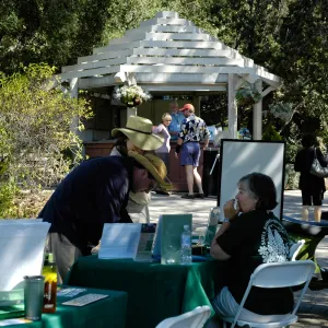 SBBG reception tables, Community Free Day, October 2011