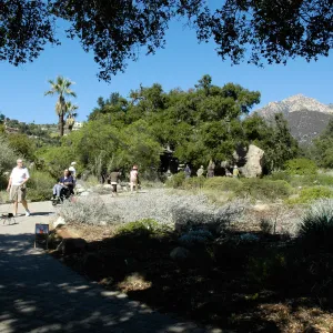 visitors in the Garden, Community Free Day, October 2011