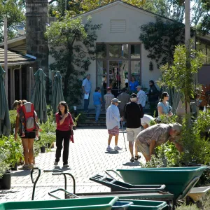 visitors in the Courtyard, Fall Plant Sale, Community Free Day, October 2011