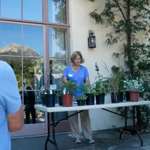 Master Gardener demonstration on the Library steps, Community Free Day, October 2011