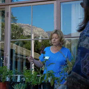 Master Gardener demonstration on the Library steps, Community Free Day, October 2011