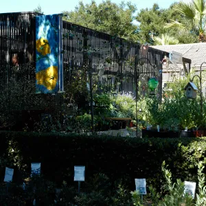 Garden Growers Nursery, Fall Plant Sale, Community Free Day, October 2011
