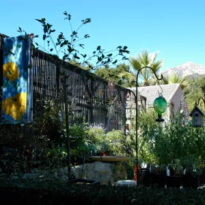 Garden Growers Nursery, Fall Plant Sale, Community Free Day, October 2011