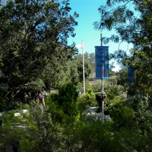 Garden Entrance, Community Free Day, October 2011