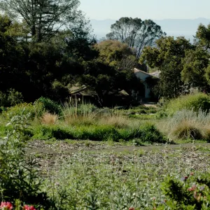 view from the top of the Meadow down to the Blaksley Library