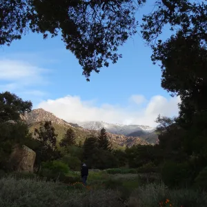 view to La Cumbre Peak, snow on the mountains above the Santa Barbara Botanic Garden