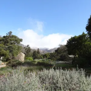 snow on the mountains, Blaksley Boulder, Meadow, Santa Barbara Botanic Garden