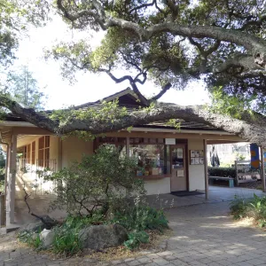 Gift Shop, Santa Barbara Botanic Garden