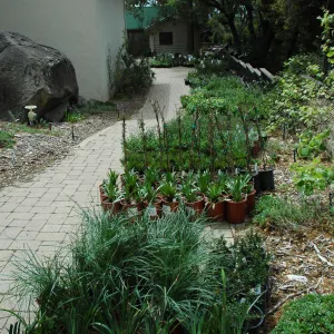 Spring Plant Sale 2012