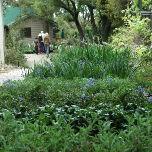 Spring Plant Sale 2012