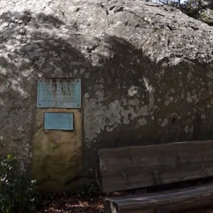 Blaskley Boulder, wildflowers on display, panorama