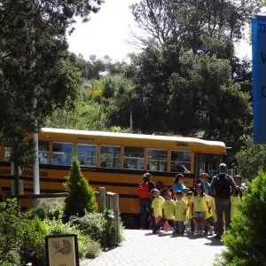 school bus arriving at Garden Entrance
