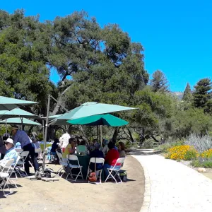 Volunteer Luncheon, 2012, panorama