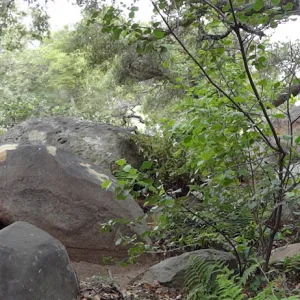wood bench, rock pool, Manzanita Section, panorama