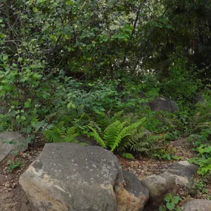 wood bench, rock pool, Manzanita Section, panorama