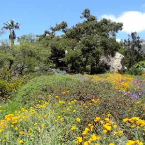 Meadow, Blaksley Boulder, la Cumbre Peak