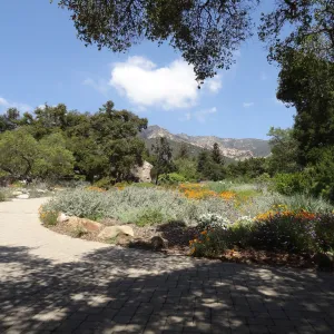 view of Meadow to the mountains, 