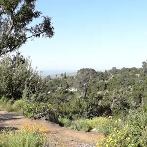 new wood on Mr. and Mrs. William Stratton Porter Bench (bench #64) on Porter Trail, 3 years after the Jesusita Fire, panorama