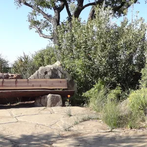 new wood on Mr. and Mrs. William Stratton Porter Bench (bench #64) on Porter Trail, 3 years after the Jesusita Fire, panorama