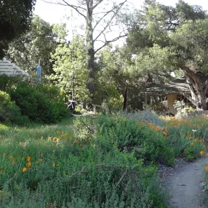 lower Meadow, amphitheater seating behind Entrance Kiosk, panorama